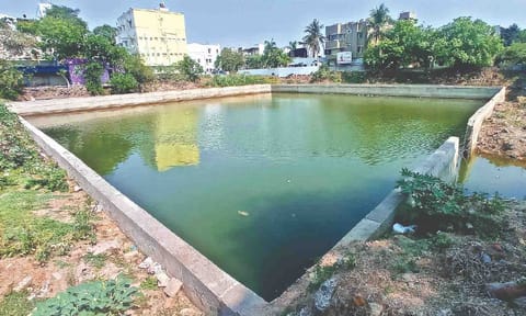 Image of a pond used for representational purposes only.&nbsp;