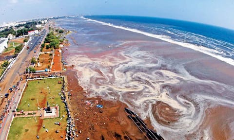2004 tsunami (PTI file photo)&nbsp;&nbsp;