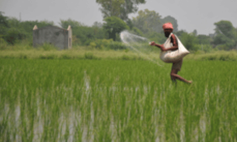 Representative Image (IANS)