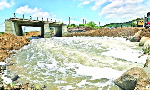Adyar river