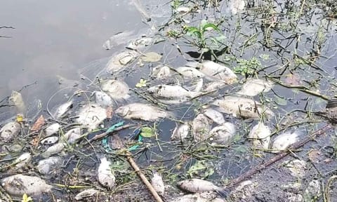 Kilambakkam Lake