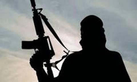 Representative Image (ANI)