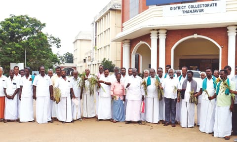 Farmers with damaged crops at Thanjavur Collectorate