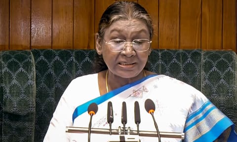 President Droupadi Murmu (PTI)&nbsp;