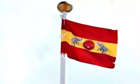 TVK flag