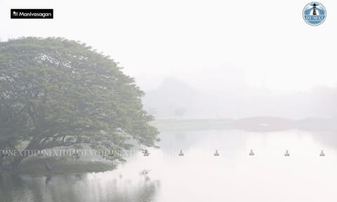 Foggy morning at Chetpet Eco Park (Photo: Manivasagan N)&nbsp;