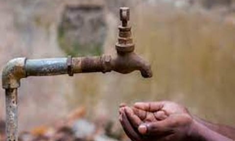 Representative Image (ANI)