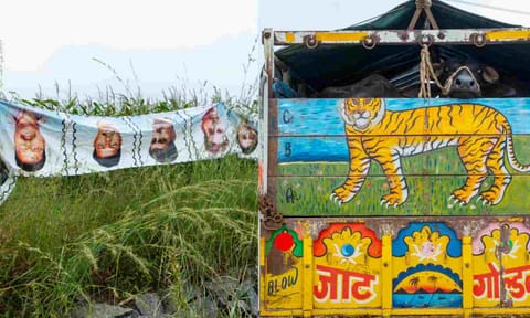 Shots by Prashant