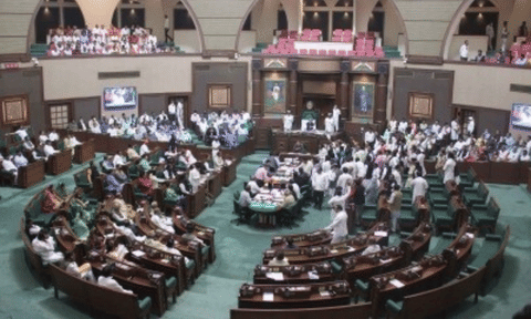 State Assembly (IANS)