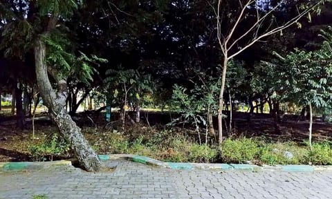 Poor lighting has deterred women from visiting one of the largest parks