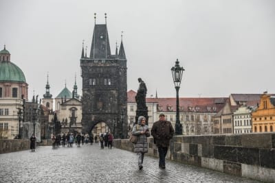 Czech Republic firefighters join Slovakia's fight against foot-and-mouth outbreak