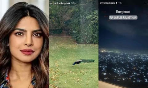 Priyanka Chopra Jonas (IANS)
