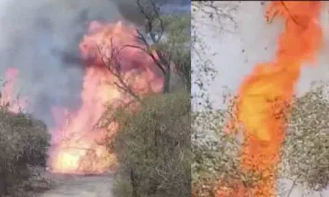 Massive forest fire erupts in the Nilgiris
