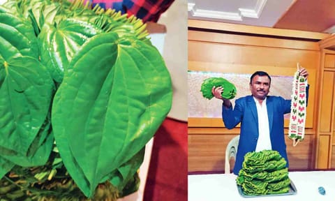 &nbsp;Kumbakonam betel leaves and Thovalai flower garlands get GI tags