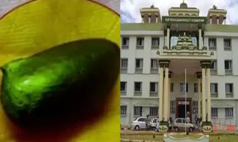 Theni doctors remove chikoo seed stuck in woman’s lung for over two years
