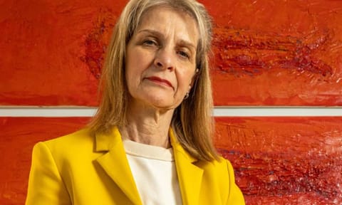 Wera Hobhouse (X)