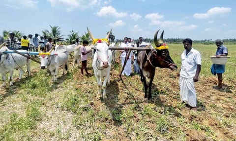 Nal Er Poottuthal event being held in Thanjavur on Monday&nbsp;