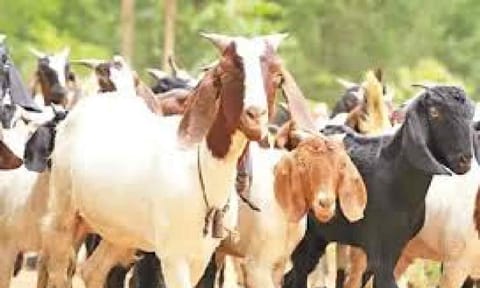 Representative Image (Daily Thanthi)