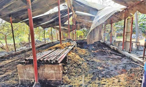 The gutted poultry farm in Erode&nbsp;
