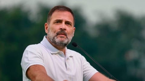 Congress Leader Rahul Gandhi (PTI)