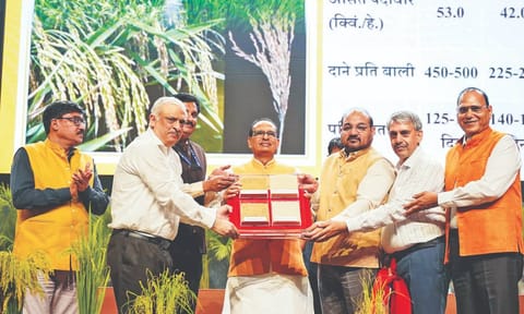 Union Agriculture Minister Shivraj Singh Chouhan releasing genome-edited rice varieties developed in India, on Monday