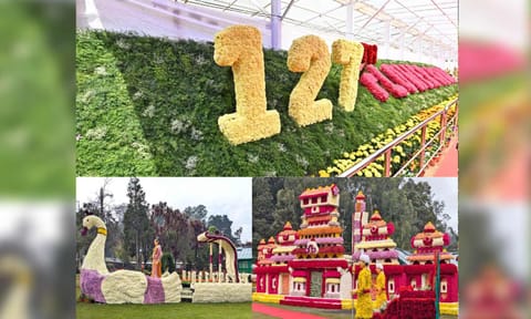 127th Ooty flower show (Photo: X-@CMOTamilnadu)