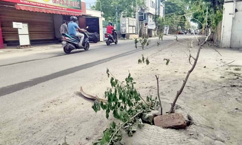 A damaged and almost open manhole cover at the SBI colony in Thoraipakkam