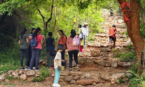 Still from the butterfly walk in Pachamalai Hills
