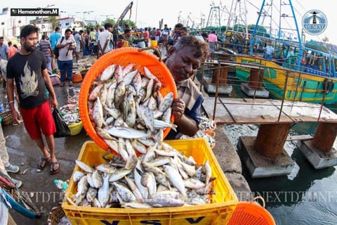Seafood lovers thronged Kasimedu fish market on Sunday (Photo: Hemanathan)