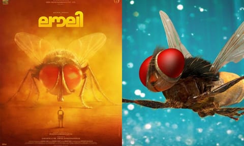 Poster of Lovely, Still from Eega&nbsp;
