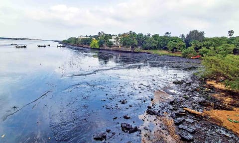 File photo of the 2023 oil spill at Ennore&nbsp;