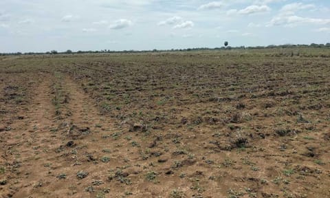 Land ready for cultivation in Thanjavur&nbsp;