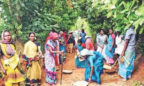 MGNREGS in limbo as TN awaits Rs 1,000 crore in dues&nbsp;
