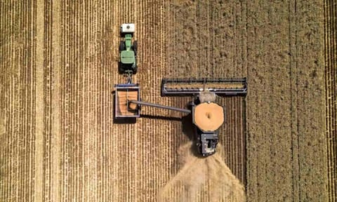 Shit in, Shit out: AI is coming for agriculture, but farmers aren’t convinced