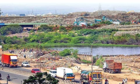 Pallikaranai marshland&nbsp;