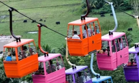 cable car&nbsp;