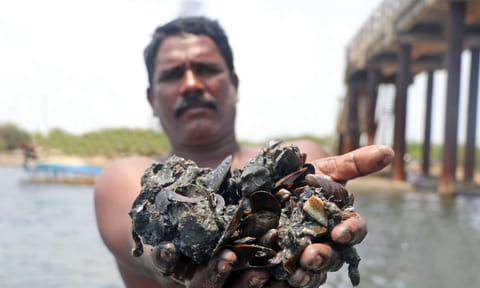 Fisherman with Kakka Aazhi (charru mussels) - File photo&nbsp;