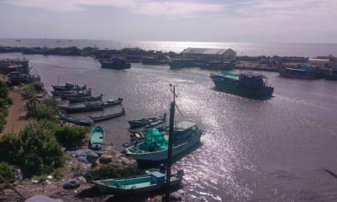 Mechanised boats venturing into the sea from Nagapattinam&nbsp;