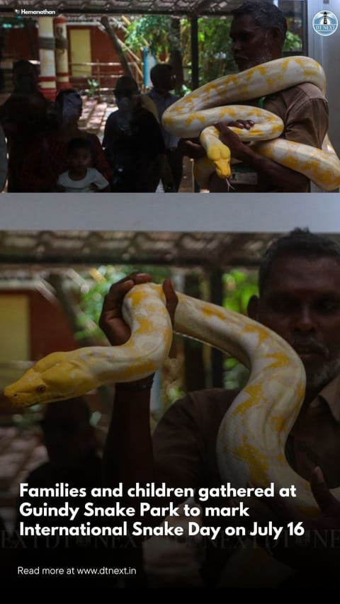 Families and children gathered at Guindy Snake Park to mark International Snake Day on July 16