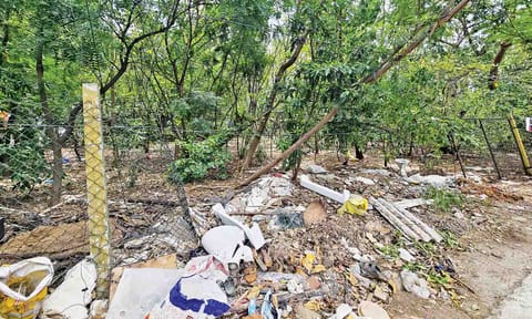 Food waste, banned plastic bags, cigarette buds and  other trash found on the premises