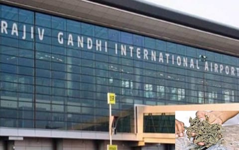 400 kg hydroponic ganja recovered from woman's luggage at Hyderabad airport (PTI)&nbsp;