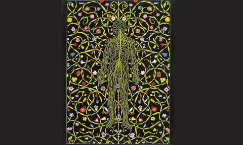 Life after death: We need a new definition of death