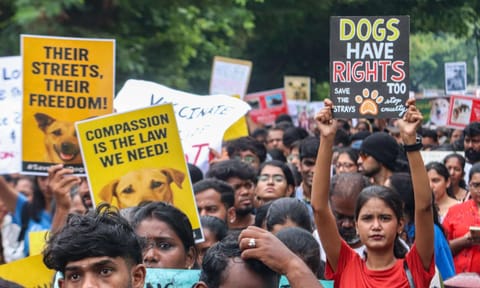 Hundreds of Animal lovers and activists gathered at Egmore, for a peaceful march demanding protection and rights for community dogs (Photo: Hemanathan M)&nbsp;