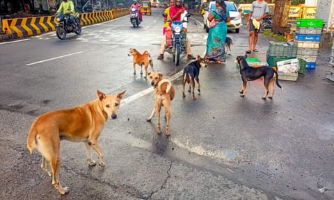 Representative image (Photo/Hemanathan)