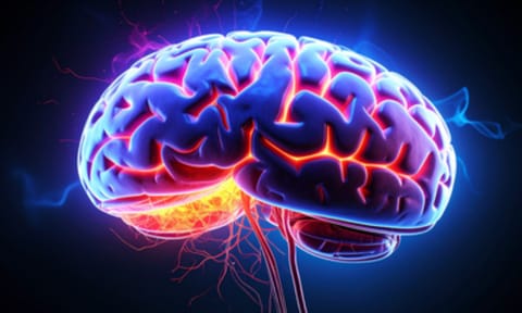 Omega fatty acids could protect against Alzheimer’s disease in women (IANS)