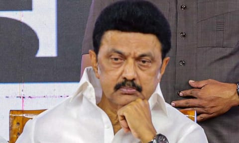 Tamil Nadu Chief Minister MK Stalin (PTI)&nbsp;