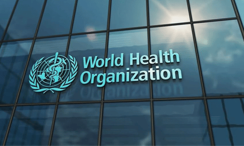 Global cholera situation continues to deteriorate: WHO