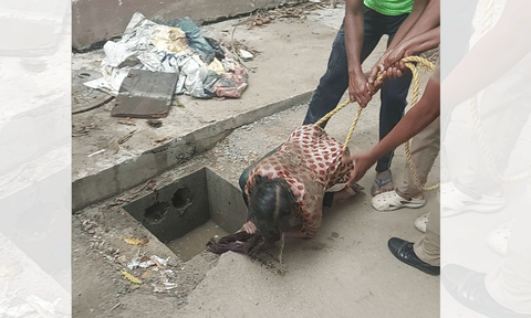 A woman's body was found in a partially covered silt catch pit in Arumbakkam&nbsp;