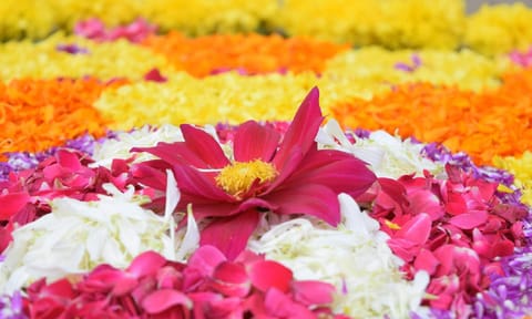 Representative image: Pixabay