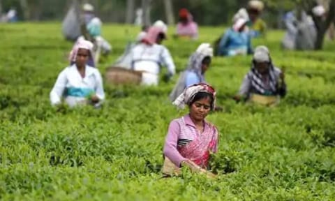 Representative Image (PTI)&nbsp;